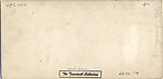 [107  Stereographic Views of Terrace:  Distant Views, Central Park, New York], Various, American, Albumen silver prints
