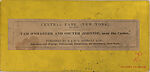 [29 Stereographic View of Auld Lang Syne Statue, Central Park, New York], Various, American, Albumen silver prints