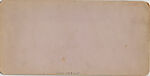 [2 Stereographic Views of Beethoven Statue, Central Park, New York], Various, American, Albumen silver prints