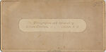 [7 Stereographic Views of Daniel Webster Statue, Central Park, New York], Various, American, Albumen silver prints