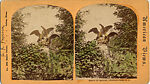 [22 Stereographic Views of Eagles Statue, Central Park, New York], Various, American, Albumen silver prints