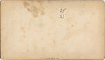 [22 Stereographic Views of Eagles Statue, Central Park, New York], Various, American, Albumen silver prints