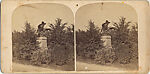 [22 Stereographic Views of Eagles Statue, Central Park, New York], Various, American, Albumen silver prints