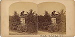 [22 Stereographic Views of Eagles Statue, Central Park, New York], Various, American, Albumen silver prints