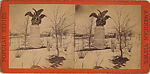 [22 Stereographic Views of Eagles Statue, Central Park, New York], Various, American, Albumen silver prints
