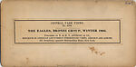 [22 Stereographic Views of Eagles Statue, Central Park, New York], Various, American, Albumen silver prints