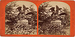 [22 Stereographic Views of Eagles Statue, Central Park, New York], Various, American, Albumen silver prints