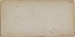[22 Stereographic Views of Eagles Statue, Central Park, New York], Various, American, Albumen silver prints