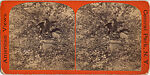 [22 Stereographic Views of Eagles Statue, Central Park, New York], Various, American, Albumen silver prints
