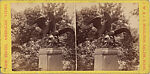 [22 Stereographic Views of Eagles Statue, Central Park, New York], Various, American, Albumen silver prints