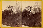 [3 Stereographic Views of Falconer Statue, Central Park, New York], Various, American, Albumen silver prints