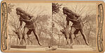[23 Stereographic Views of Indian Statue, Central Park, New York], Various, American, Albumen silver prints