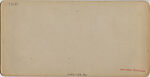 [23 Stereographic Views of Indian Statue, Central Park, New York], Various, American, Albumen silver prints