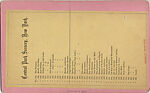 [23 Stereographic Views of Indian Statue, Central Park, New York], Various, American, Albumen silver prints