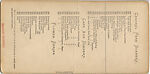 [23 Stereographic Views of Indian Statue, Central Park, New York], Various, American, Albumen silver prints
