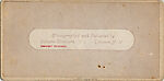 [23 Stereographic Views of Indian Statue, Central Park, New York], Various, American, Albumen silver prints