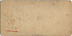 [23 Stereographic Views of Indian Statue, Central Park, New York], Various, American, Albumen silver prints