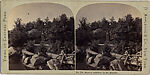 [22 Stereographic Views of Johann C. F. von Schiller Monument, Central Park, New York], Various, American, Albumen silver prints