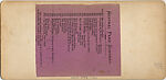 [21 Stereographic Views of Lioness and Cubs Statue, Central Park, New York], Various, American, Albumen silver prints