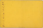 [21 Stereographic Views of Lioness and Cubs Statue, Central Park, New York], Various, American, Albumen silver prints
