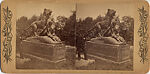 [21 Stereographic Views of Lioness and Cubs Statue, Central Park, New York], Various, American, Albumen silver prints