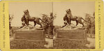 [21 Stereographic Views of Lioness and Cubs Statue, Central Park, New York], Various, American, Albumen silver prints