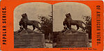 [21 Stereographic Views of Lioness and Cubs Statue, Central Park, New York], Various, American, Albumen silver prints