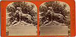 [21 Stereographic Views of Lioness and Cubs Statue, Central Park, New York], Various, American, Albumen silver prints