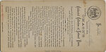 [21 Stereographic Views of Lioness and Cubs Statue, Central Park, New York], Various, American, Albumen silver prints