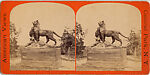 [21 Stereographic Views of Lioness and Cubs Statue, Central Park, New York], Various, American, Albumen silver prints