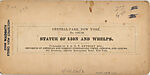 [21 Stereographic Views of Lioness and Cubs Statue, Central Park, New York], Various, American, Albumen silver prints