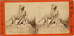 [21 Stereographic Views of Lioness and Cubs Statue, Central Park, New York], Various, American, Albumen silver prints