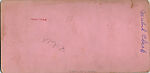 [21 Stereographic Views of Lioness and Cubs Statue, Central Park, New York], Various, American, Albumen silver prints
