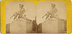 [21 Stereographic Views of Lioness and Cubs Statue, Central Park, New York], Various, American, Albumen silver prints