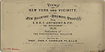 [21 Stereographic Views of Lioness and Cubs Statue, Central Park, New York], Various, American, Albumen silver prints