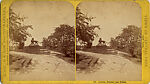 [21 Stereographic Views of Lioness and Cubs Statue, Central Park, New York], Various, American, Albumen silver prints