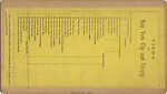 [24 Stereographic Views of Shakespeare Statue, Central Park, New York], Various, American, Albumen silver prints