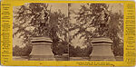 [24 Stereographic Views of Shakespeare Statue, Central Park, New York], Various, American, Albumen silver prints