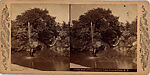 [16 Stereographic Views of Swan and Cygnet Statue, Central Park, New York], Various, American, Albumen silver prints
