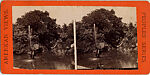 [16 Stereographic Views of Swan and Cygnet Statue, Central Park, New York], Various, American, Albumen silver prints