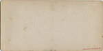 [16 Stereographic Views of Swan and Cygnet Statue, Central Park, New York], Various, American, Albumen silver prints