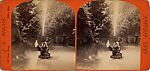 [16 Stereographic Views of Swan and Cygnet Statue, Central Park, New York], Various, American, Albumen silver prints