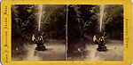 [16 Stereographic Views of Swan and Cygnet Statue, Central Park, New York], Various, American, Albumen silver prints