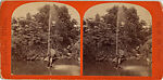 [16 Stereographic Views of Swan and Cygnet Statue, Central Park, New York], Various, American, Albumen silver prints