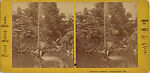 [16 Stereographic Views of Swan and Cygnet Statue, Central Park, New York], Various, American, Albumen silver prints