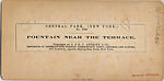 [16 Stereographic Views of Swan and Cygnet Statue, Central Park, New York], Various, American, Albumen silver prints