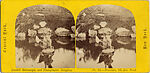 [16 Stereographic Views of Swan and Cygnet Statue, Central Park, New York], Various, American, Albumen silver prints