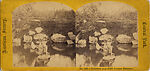 [16 Stereographic Views of Swan and Cygnet Statue, Central Park, New York], Various, American, Albumen silver prints