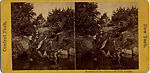 [16 Stereographic Views of Swan and Cygnet Statue, Central Park, New York], Various, American, Albumen silver prints