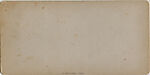[25 Stereographic Views of Balcony Bridge, Central Park, New York], Various, American, Albumen silver prints